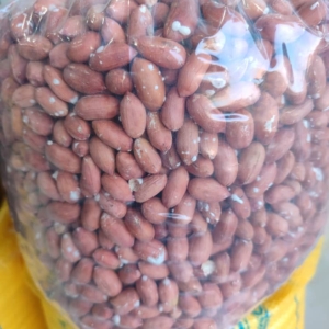 بادام زمینی آستانه اشرفیه