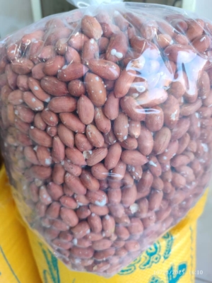 بادام زمینی آستانه اشرفیه