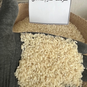 سرلاشه هاشمی