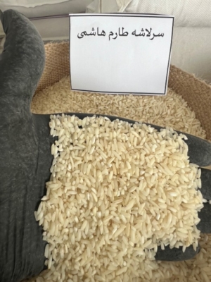 سرلاشه هاشمی