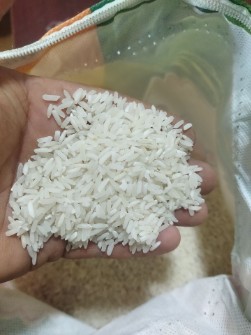 برنج 386 دانه بلند